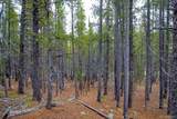 Lot 935 Silver Creek Road - Photo 3