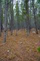 Lot 935 Silver Creek Road - Photo 4