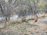 20163 Us Hwy 50 - Photo 44
