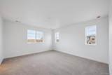 5717 Brangus Drive - Photo 15