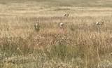 15023 Two Mile Road - Photo 2