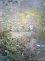 15023 Two Mile Road - Photo 3
