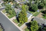3420 Eudora Street - Photo 36