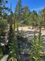 1380&1410 Oak Drive - Photo 15
