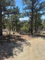 1380&1410 Oak Drive - Photo 18