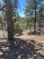 1380&1410 Oak Drive - Photo 20