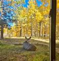 162 Ridge Top Drive - Photo 39