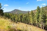 Lot 83 Conifer Drive - Photo 12