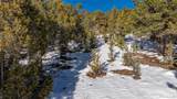 137 Cedar Cove - Photo 5