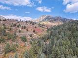 4950 Little Turkey Creek Road - Photo 12
