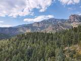 4950 Little Turkey Creek Road - Photo 14