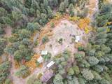 4950 Little Turkey Creek Road - Photo 15
