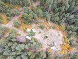 4950 Little Turkey Creek Road - Photo 16