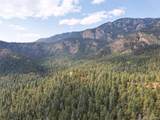 4950 Little Turkey Creek Road - Photo 20