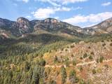4950 Little Turkey Creek Road - Photo 21