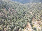 4950 Little Turkey Creek Road - Photo 23