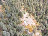 4950 Little Turkey Creek Road - Photo 26