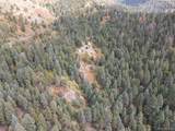 4950 Little Turkey Creek Road - Photo 30