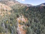 4950 Little Turkey Creek Road - Photo 31