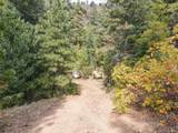 4950 Little Turkey Creek Road - Photo 8