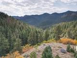 4950 Little Turkey Creek Road - Photo 10