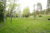 29055 Sunset Trail - Photo 12