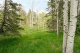29055 Sunset Trail - Photo 7