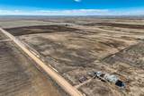 44255 Comanche Creek Road - Photo 13