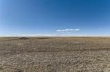 44255 Comanche Creek Road - Photo 20