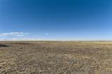 44255 Comanche Creek Road - Photo 8
