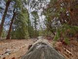54 & 56 Big Bear Road - Photo 1