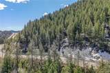 00 Saddleback - Photo 10