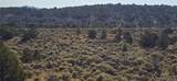 Lot 4075 Tiernan Road - Photo 14