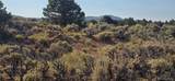 Lot 4075 Tiernan Road - Photo 6
