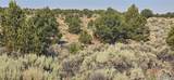 Lot 4075 Tiernan Road - Photo 8
