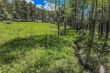 18673 State Highway 7 - Photo 15