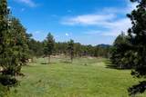 18673 State Highway 7 - Photo 16