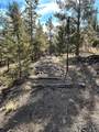 4376 Campfire Road - Photo 2