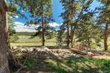 835 Deer Lane - Photo 48