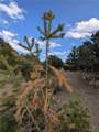28750 County Road 304 - Photo 7