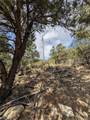 28750 County Road 304 - Photo 10