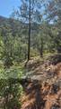 TBD L 43rd Trail - Photo 12