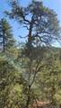 TBD L 43rd Trail - Photo 17