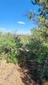 TBD L 43rd Trail - Photo 19