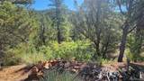 TBD L 43rd Trail - Photo 20