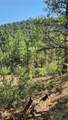 TBD L 43rd Trail - Photo 21