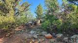 TBD L 43rd Trail - Photo 4