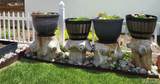 19460 58th Drive - Photo 15