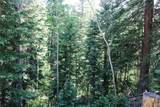 00 Sunflower Road - Photo 12