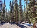 226 Pine Cone Way - Photo 39